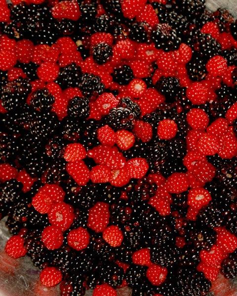 Country Charm: Seasonal Berried Delight